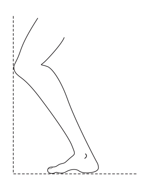 Lunge test pass (heel remains flat)